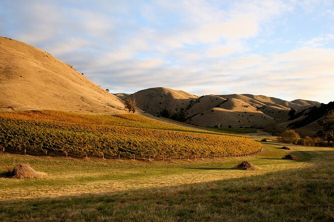 Marlborough Afternoon Wine Tour With Tastings - Additional Resources and Support for Inquiries