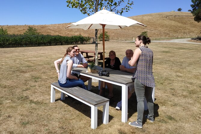 Marlborough Discovery Sampler Wine Tour - 1/2Day Blenheim - The Sum Up