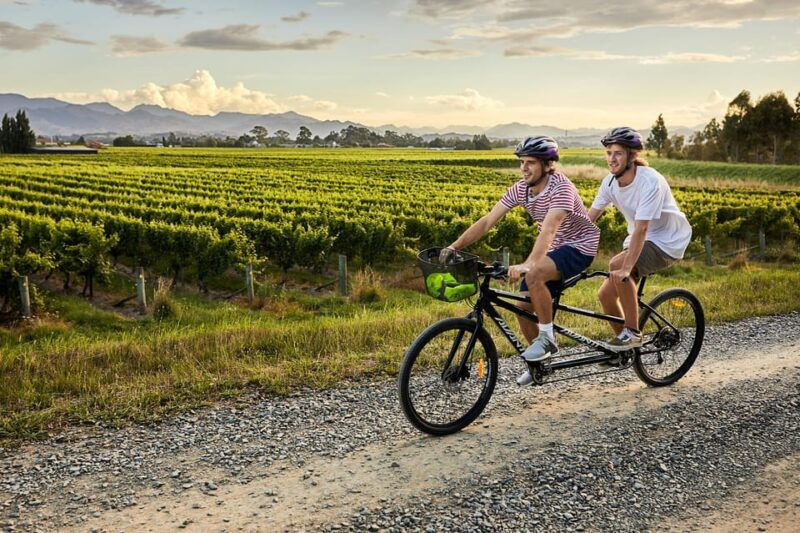 Marlborough: Full-Day Self-Guided Biking Wine Tour - The Vineyard Cluster: What to Expect