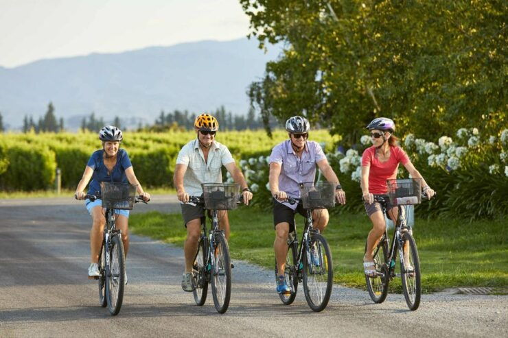 Marlborough Full-Day Self-Guided Biking Wine Tour - Activity Details