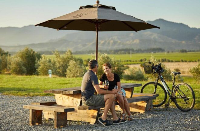 Marlborough Full-Day Self-Guided Biking Wine Tour - Self-Guided Bike Tour
