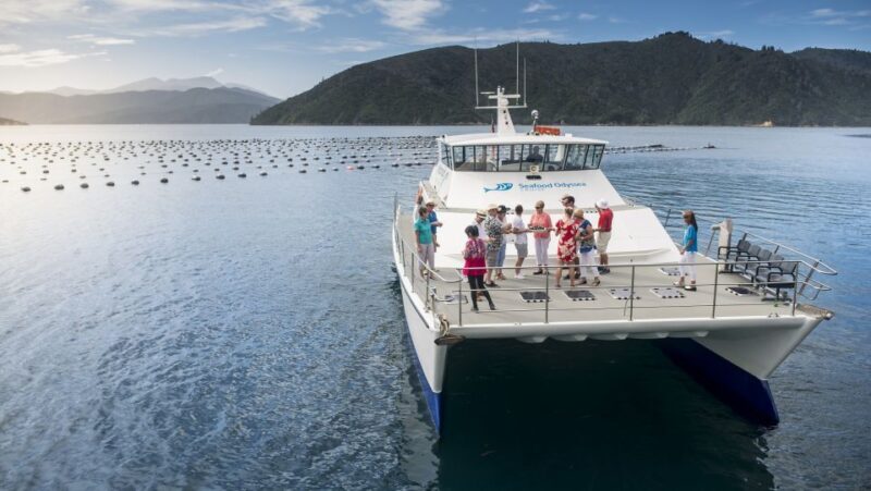 Marlborough: Full-Day Wine and Seafood Tour with Cruise - Authenticity & Uniqueness