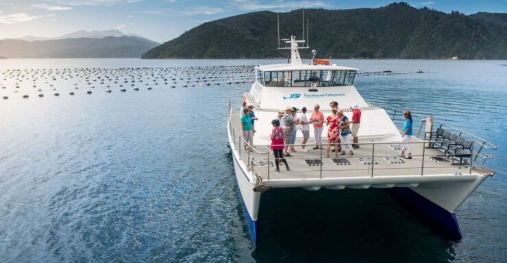 Marlborough: Full-Day Wine and Seafood Tour With Cruise - Activity Details