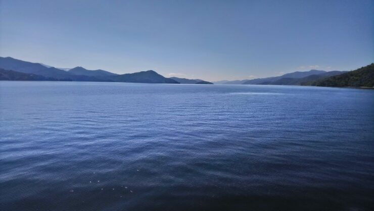 Marlborough: Full-Day Wine and Seafood Tour With Cruise - Experience
