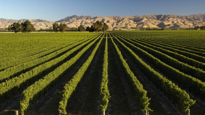 Marlborough: Full-Day Wine and Seafood Tour With Cruise - Similar Water Activities
