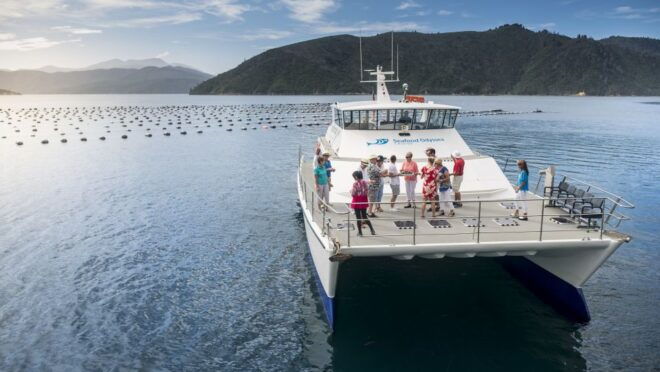 Marlborough: Full-Day Wine and Seafood Tour With Cruise - Additional Information