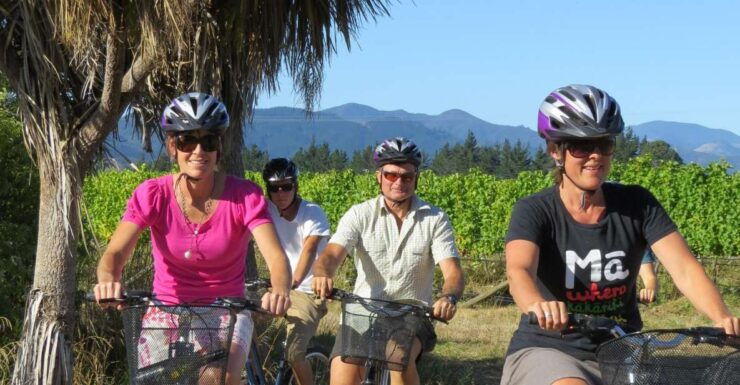 Marlborough Half Guided & Half Self-Guided Bike Wine Tour - Guided Morning Bike Tour