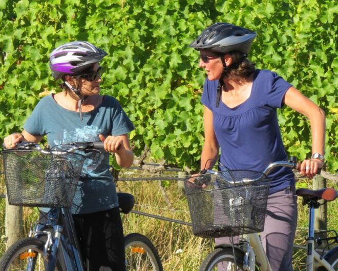 Marlborough Half Guided & Half Self-Guided Bike Wine Tour - Other Recommended Tours