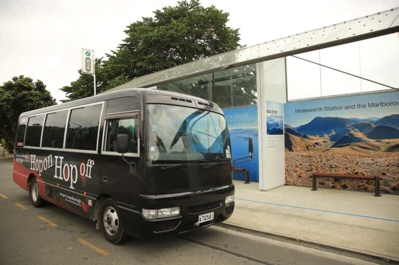 Marlborough: Hop-On Hop-Off Wine, Brewery, and Wonders Tour - The Pros and Cons