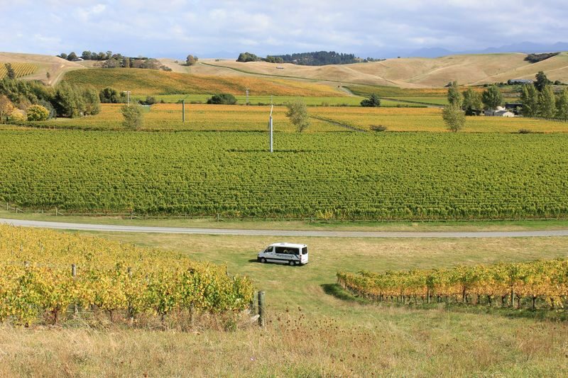Marlborough Icons Full Day Tour - Wine country first, then the Sounds