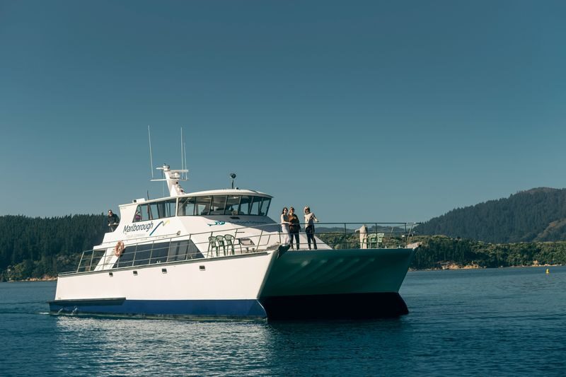 Marlborough Icons Full Day Tour - Is the price good value?