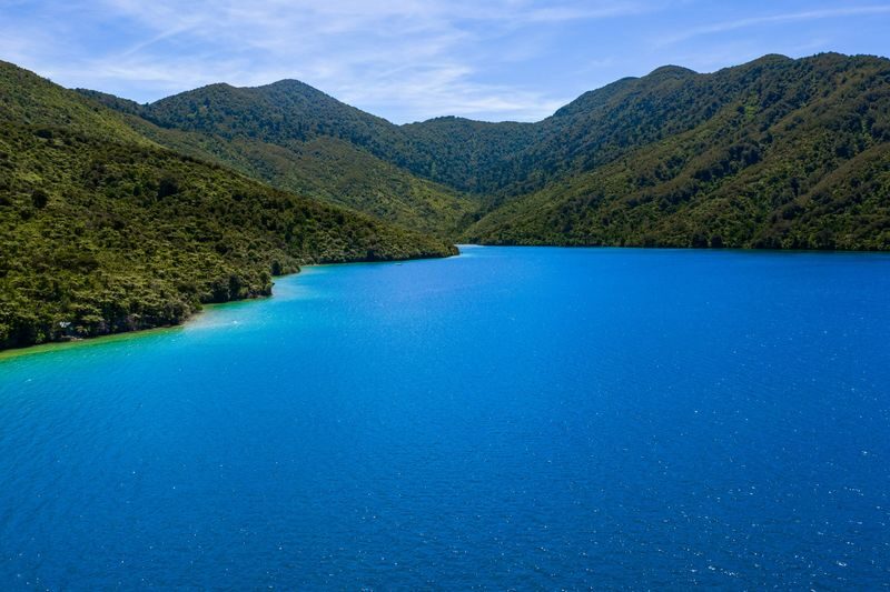 Marlborough Icons Full Day Tour - Who will enjoy this tour most