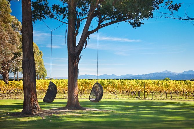 Marlborough Icons Tour - Wine Tasting Cruise - Product Code and Pricing Information