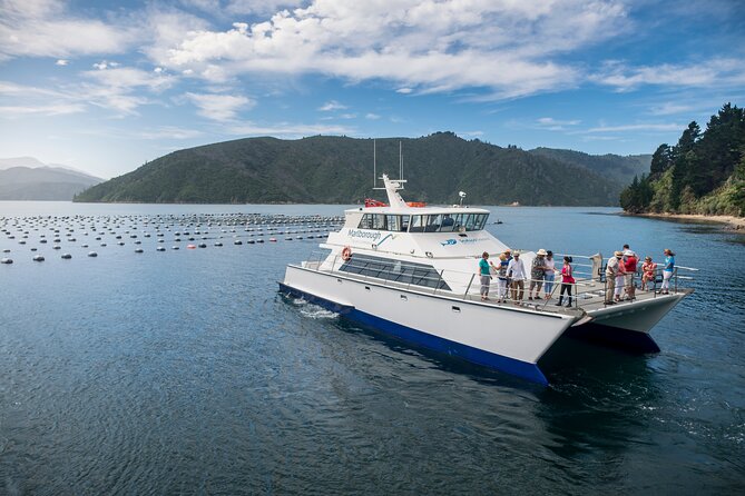 Marlborough Icons Tour - Wine Tasting Cruise - The Sum Up