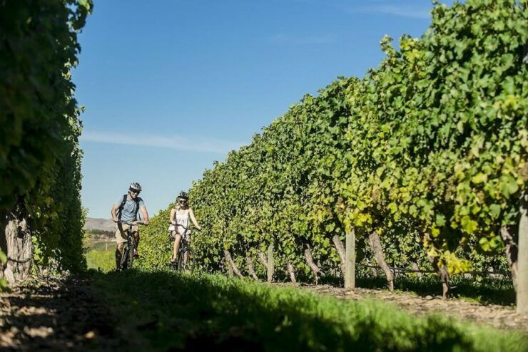 Marlborough: Private Winery Tour by Bicycle - Booking Details