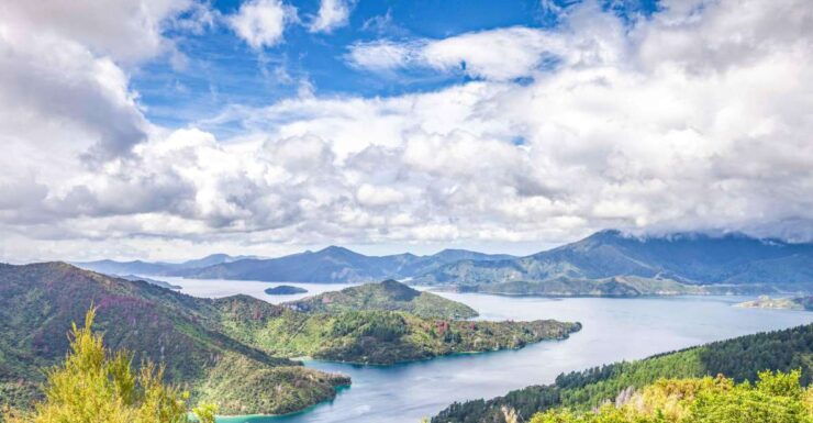 Marlborough Sounds and Ship Cove Cruise From Picton - Duration and Starting Times
