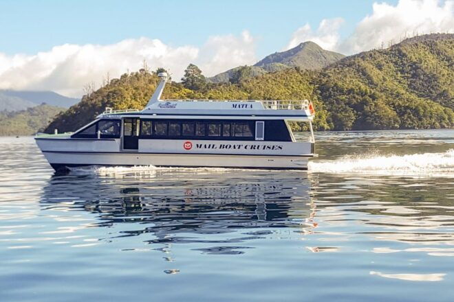 Marlborough Sounds and Ship Cove Cruise From Picton - Wildlife and Marine Mammals Encounters