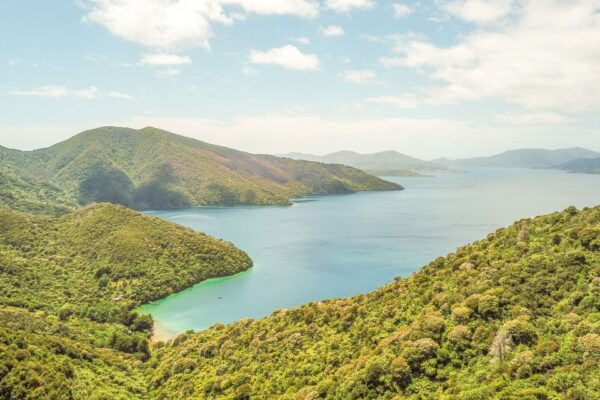 Marlborough Sounds and Ship Cove Cruise From Picton - Common Questions