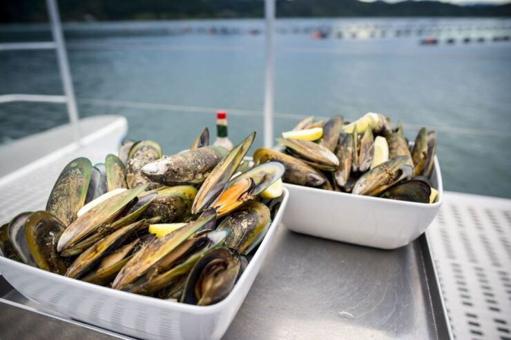 Marlborough Sounds: Greenshell Mussel Cruise - Experience