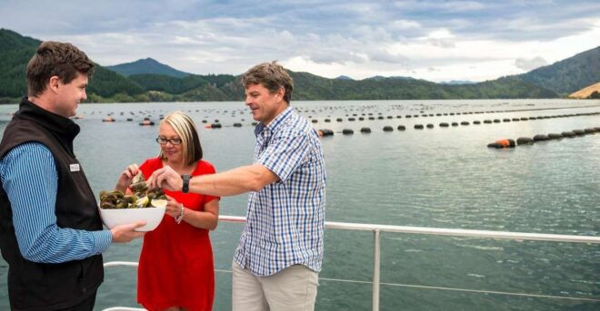 Marlborough Sounds: Greenshell Mussel Cruise - Onboard Amenities