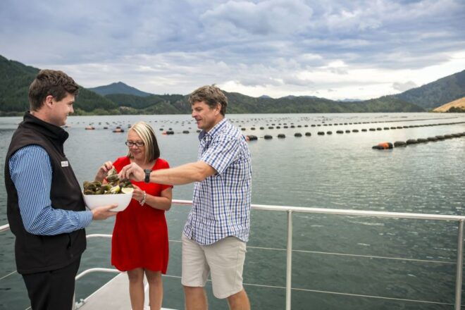 Marlborough Sounds: Greenshell Mussel Cruise - Reservation and Payment