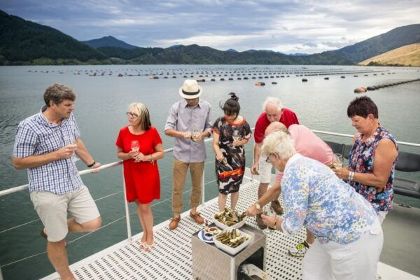 Marlborough Sounds: Greenshell Mussel Cruise - Similar Activities