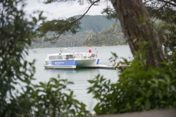 Marlborough Sounds: Greenshell Mussel Cruise - Location and Activity Title