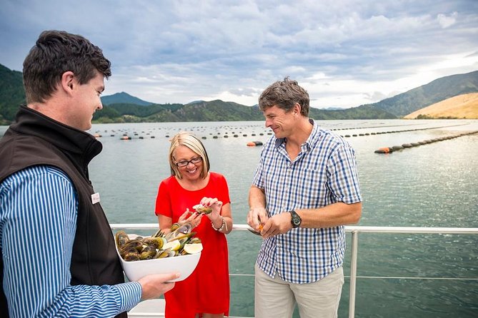 Marlborough Sounds Greenshell Mussel Tasting Cruise - Additional Info