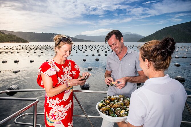 Marlborough Sounds Greenshell Mussel Tasting Cruise - Cancellation Policy