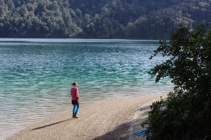 Marlborough Sounds Guided Kayak and Freedom Walk Tour - Tour Overview