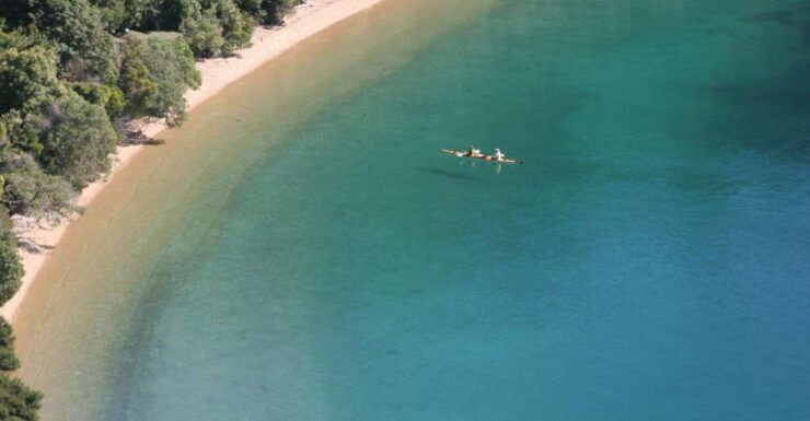 Marlborough Sounds Guided Kayak and Freedom Walk Tour - Activity Highlights