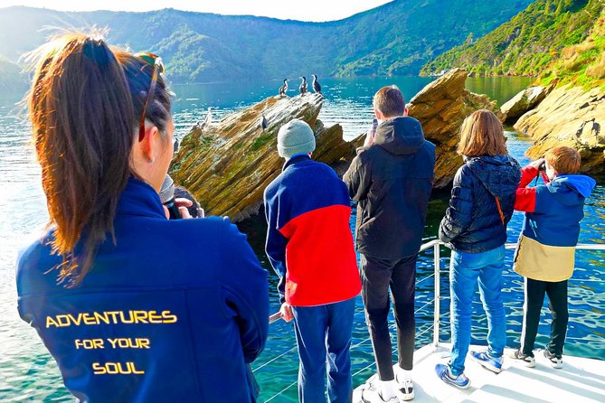 Marlborough Sounds Ultimate Cruise - Tour Details