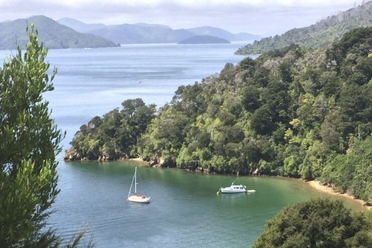 Marlborough Wine, Gourmet and Scenic Tour From Blenheim - Spectacular Scenery