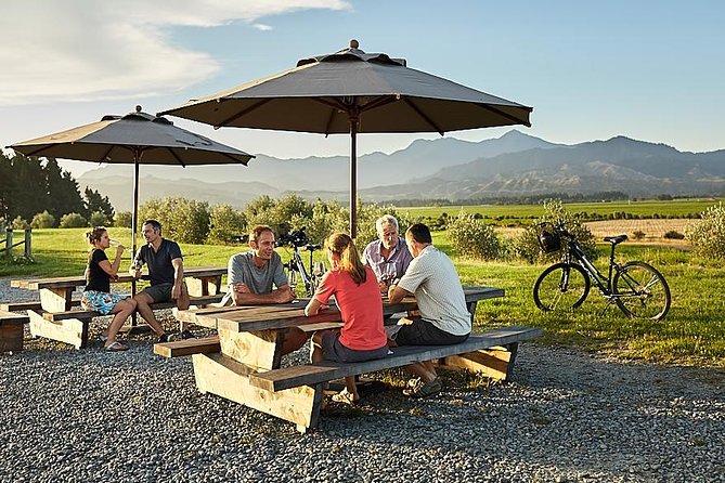 Marlborough Wine Region Bike Tour From Blenheim or Renwick - What to Bring and Expect
