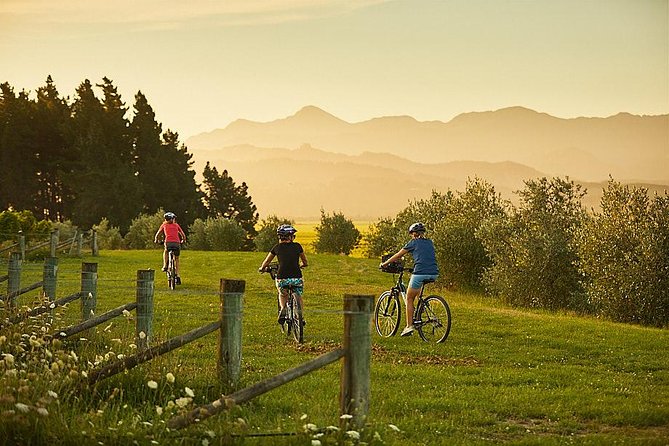 Marlborough Wine Region Bike Tour From Blenheim or Renwick - Cancellation Policy