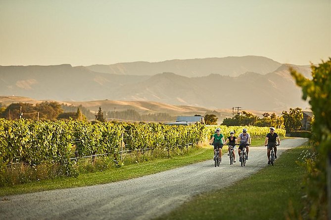 Marlborough Wine Region Bike Tour From Blenheim or Renwick - Additional Information