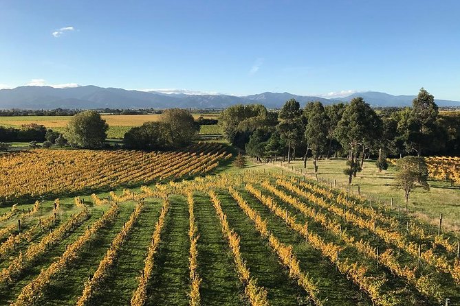 Marlborough Wineries Tour and Tasting From Picton or Blenheim - Cancellation Policy