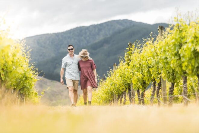 Marlborough: Wineries Visit and Tasting Session - Common Questions