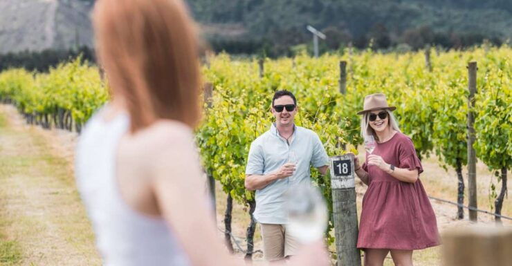 Marlborough: Wineries Visit With Tastings and 2-Course Lunch - Activity Details