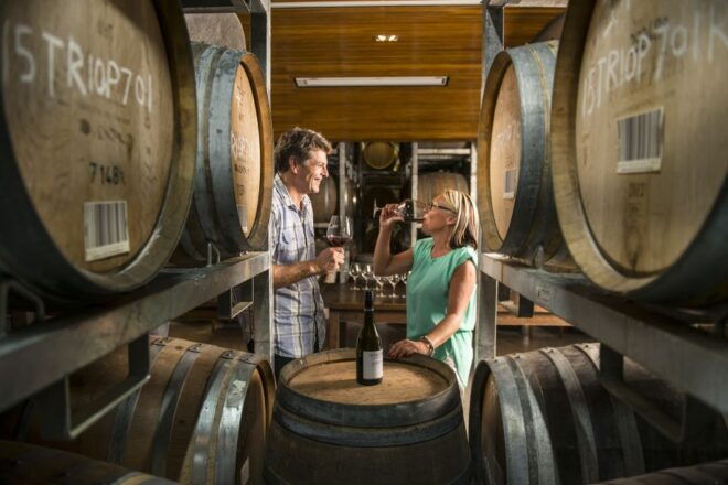 Marlborough: Wineries Visit With Tastings and 2-Course Lunch - Related Options