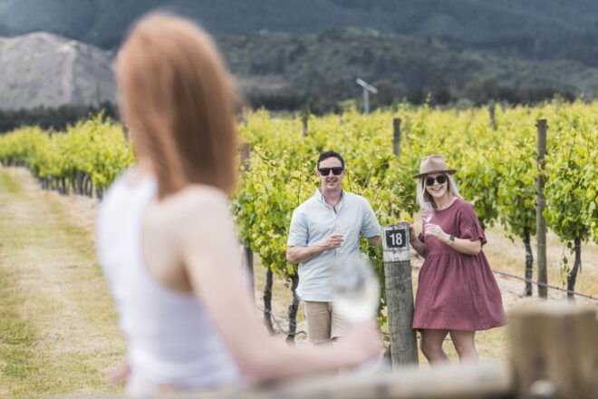 Marlborough: Wineries Visit With Tastings and 2-Course Lunch - Customer Reviews
