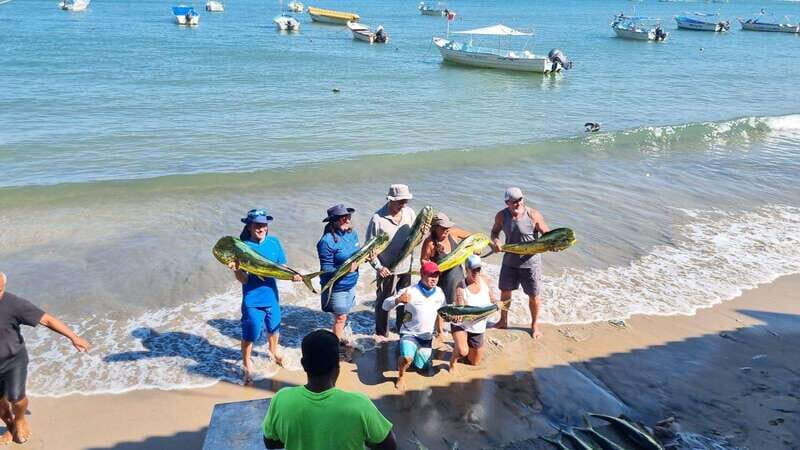 Marlin fishing in guayabitos - Analyzing the Experience of Marlin Fishing in Guayabitos