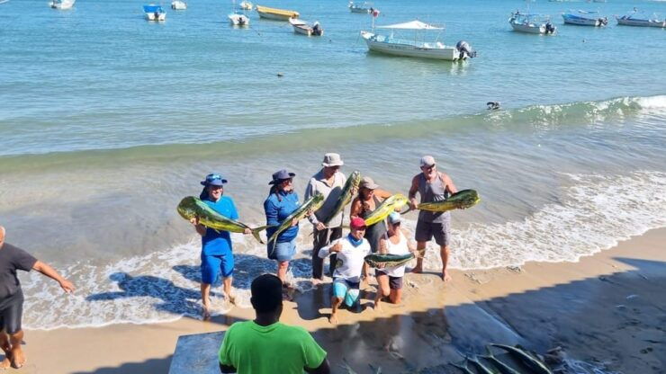 Marlin Fishing in Guayabitos - Pricing and Reservations