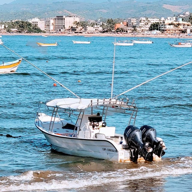 Marlin Fishing in Guayabitos - Meeting Point and Essentials