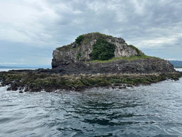 Marlin Fishing in Guayabitos - Why Choose This Adventure