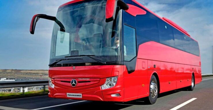Marmaris Dalyan Köyceğiz (By Bus) - Experience Highlights
