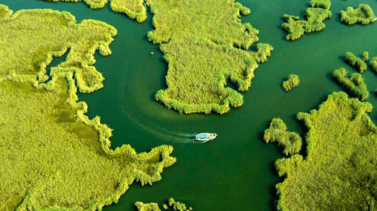 Marmaris: Dalyan, Turtle Beach, and Kizilkum Bay Boat Tour - Itinerary and Activities