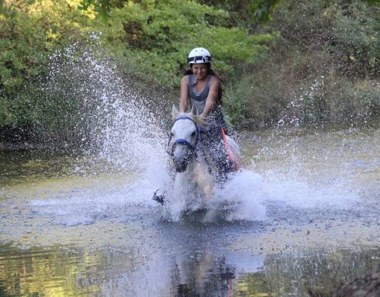 Marmaris: Horse Riding Experience with Hotel Transfers - The Sum Up