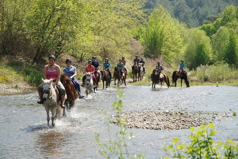 Marmaris: Horse Riding Experience with Transfer - Good To Know