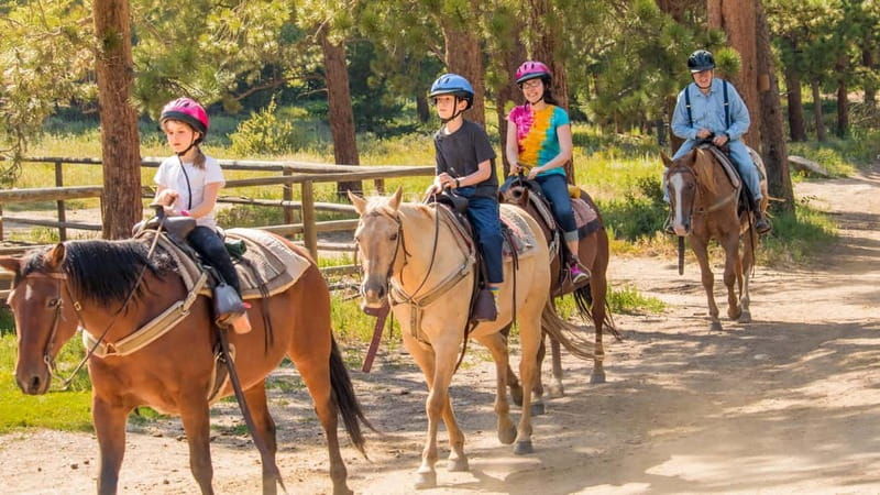 Marmaris: Horse Riding Experience with Transfer - The Itinerary Breakdown